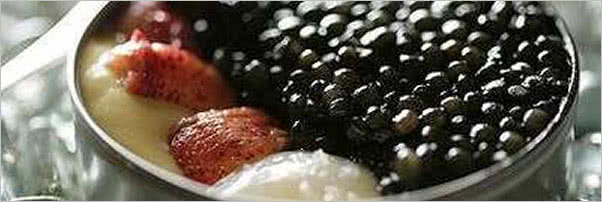 Citronelle Lobster Begula Caviar