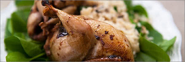 Craft Roasted Quail